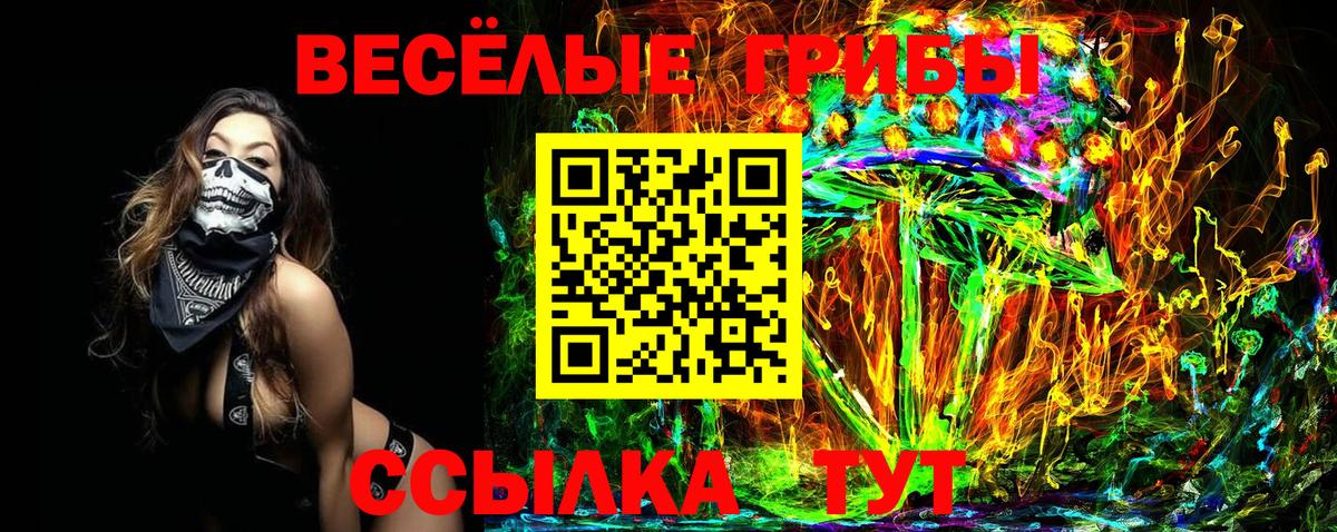 Энгельс  Псилоцибиновые грибы GOLDEN TEACHER  Вход с VPN 