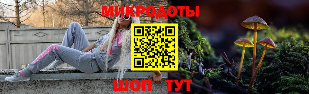 Галлюциногенные грибы прущие грибы Энгельс